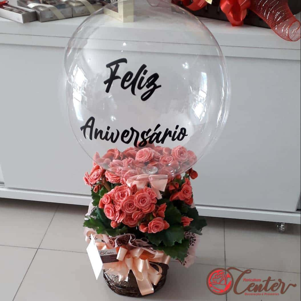 Begonia com balão