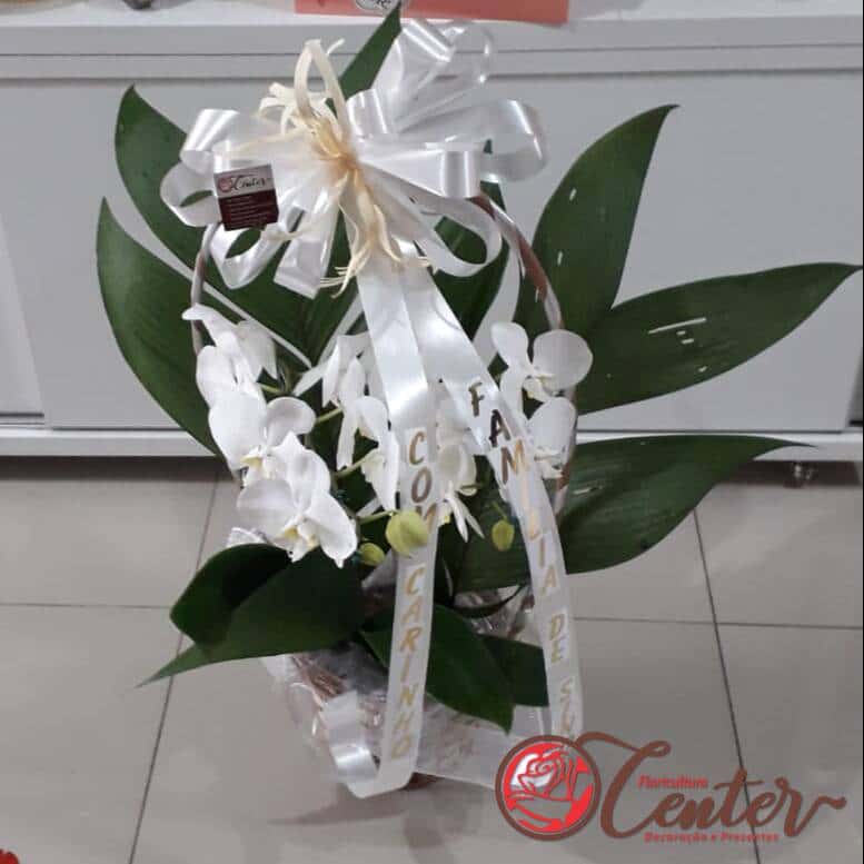 Orquídea na cesta com a faixa