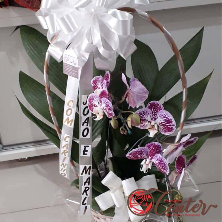 Orquídea na cesta com a faixa